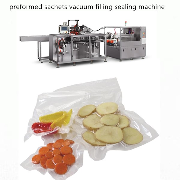 premade bag vacuum packing machine