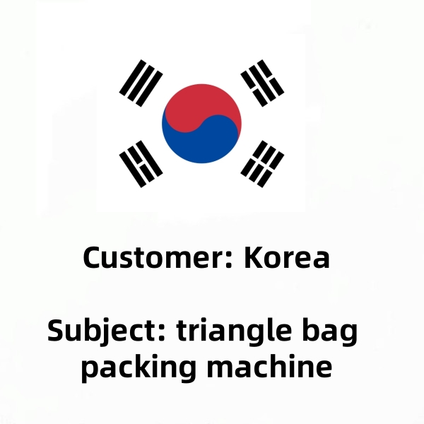 korea customer visit us discussing triangle bag milk packing machine