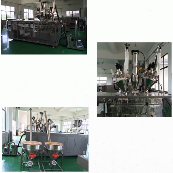 Horizontal Duplex Pouch Packing Machine