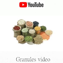 VFFS GRANULES PACKING MACHINE