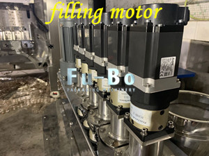 6 lanes powder packing machine