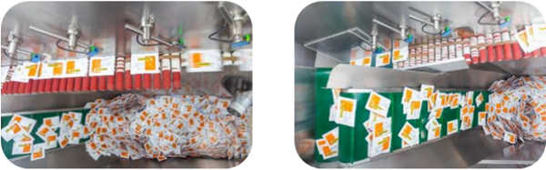 sachet sorting system