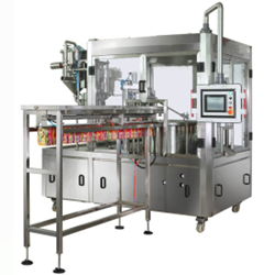 spouted pouch filling capping machine