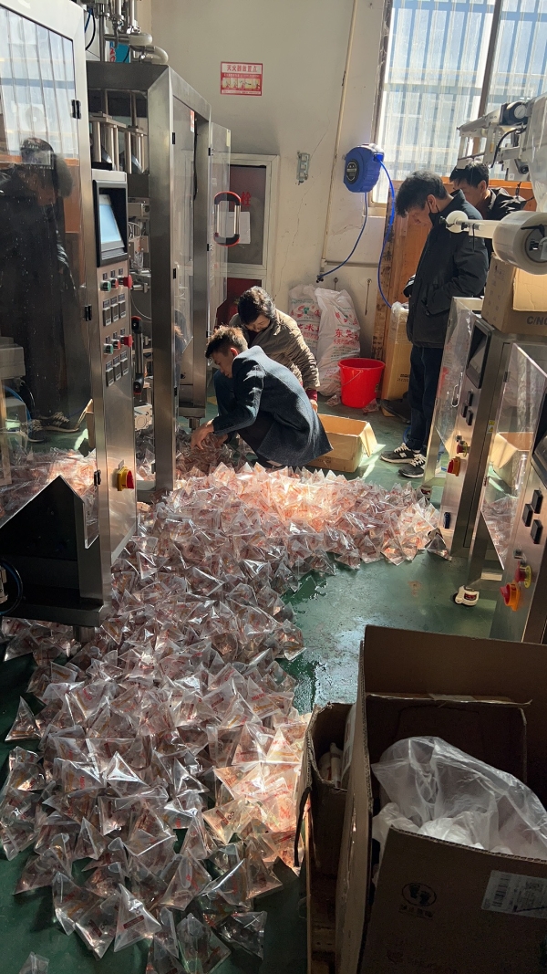 testing triangle bag packing machine
