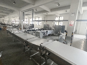 2 sets of wafers wrapping machine