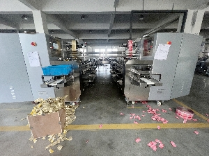 2 sets of wafers wrapping machine